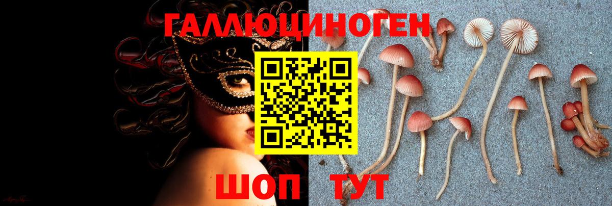 Псилоцибиновые грибы Psilocybine cubensis  Галлюциногенные грибы Psilocybe  Дубна  Вход с VPN 